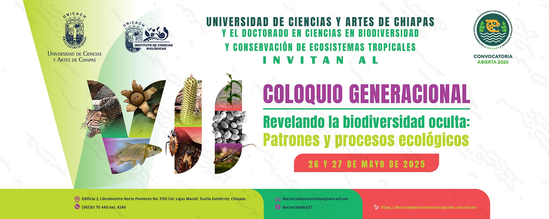 495381039_1127995445796866_896631297892232252_n